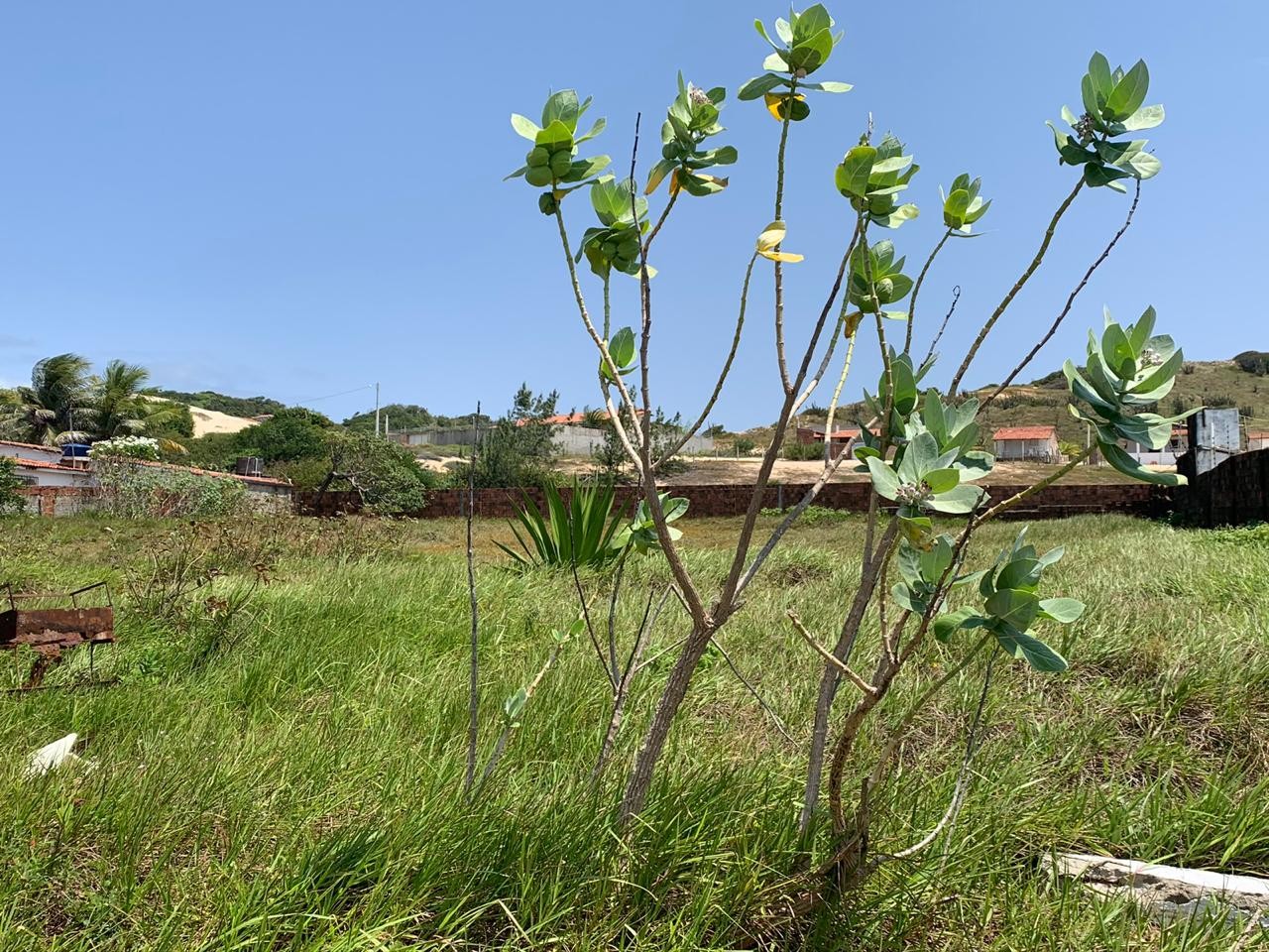 OTIMO TERRENO EM BUZIOS/RN