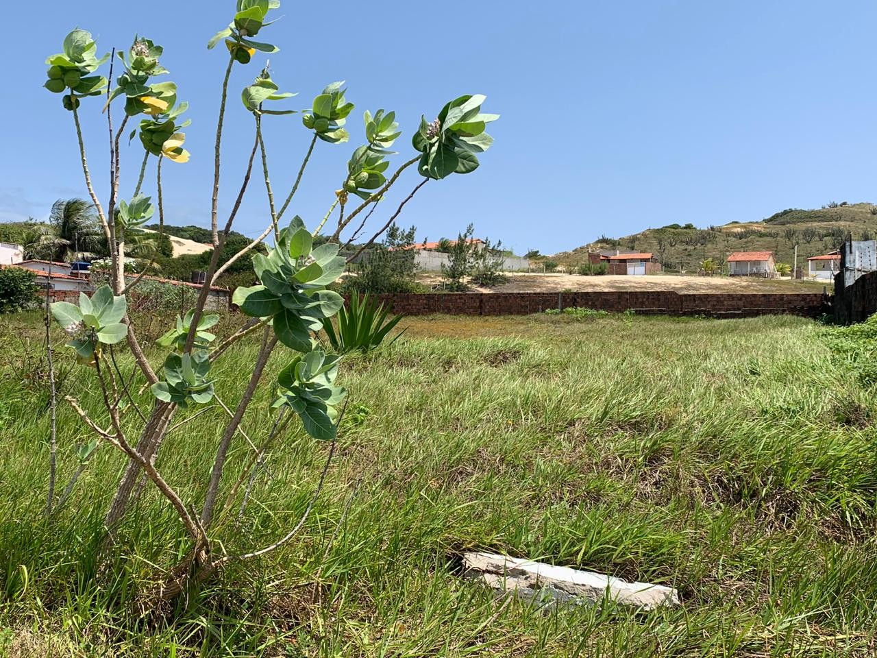 OTIMO TERRENO EM BUZIOS/RN